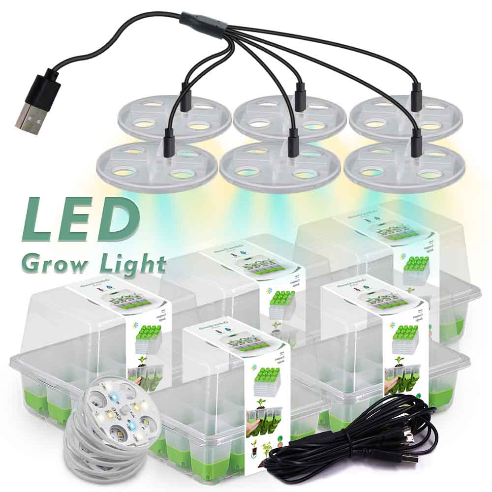 Outdoor Lighting Box - Kit de démarrage de semis avec