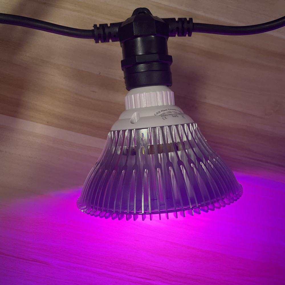 Guirlande lumineuse LED de 10M - Outdoor Lighting Extension Cord avis et prix