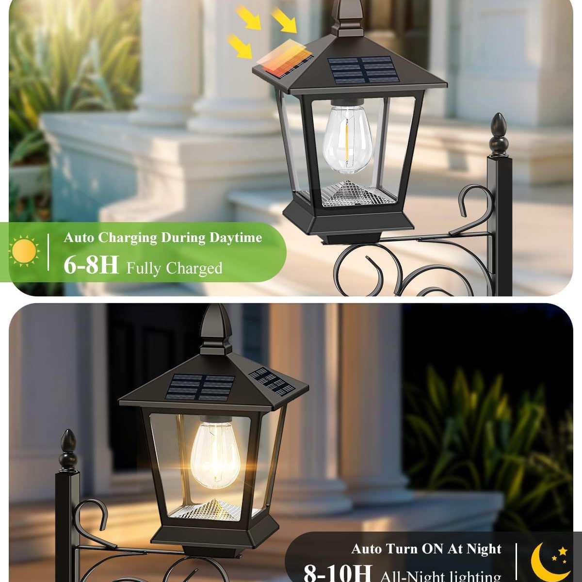 Lampe solaire 2 en 1 pour plan - Outdoor Lighting And Decor avis et prix