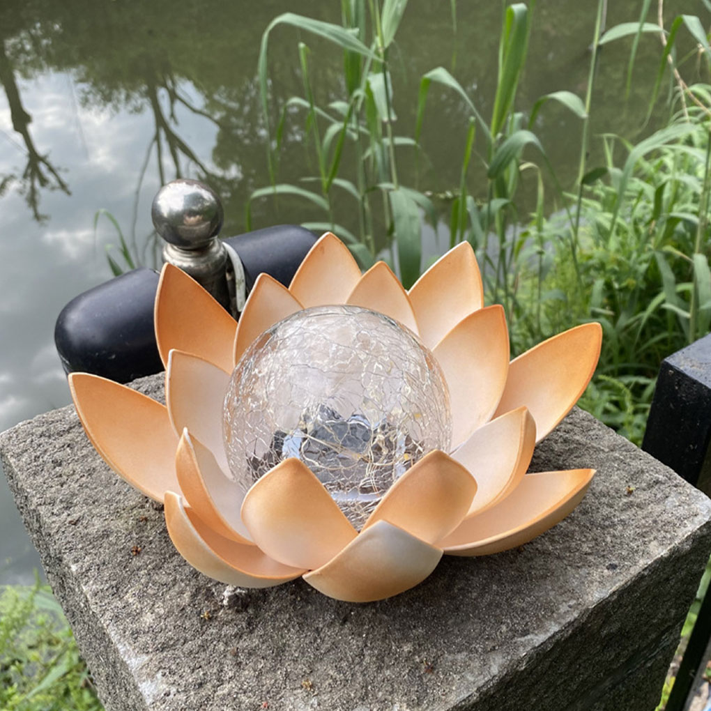 Lampes solaires de jardin en f - Outdoor Lighting For Christmas avis et prix